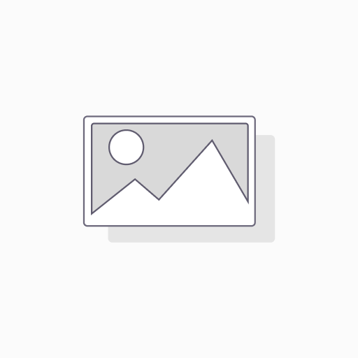 Olivo 81